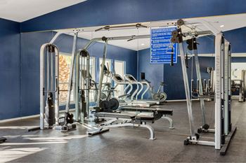 Fitness center w/ free weights & spin bikes