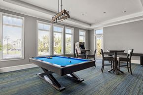 Sarasota apartment for rent - A pool table in a room with a chair and a dining table.