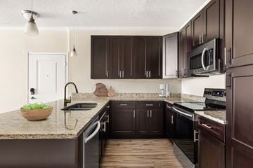 Sarasota apartment for rent - A kitchen with dark brown cabinets and a granite countertop.