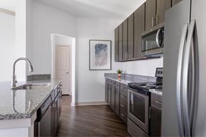 Savannah apartment for rent - A modern kitchen with dark wood cabinets and stainless steel appliances.