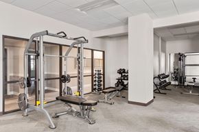 Charlotte apartment for rent - A gym with a variety of equipment including a squat rack, bench, and weights.