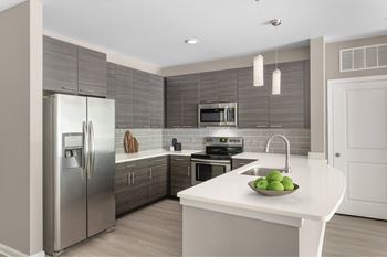 Chef-inspired kitchen with modern cabinets