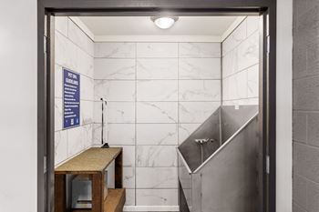 Pet wash station