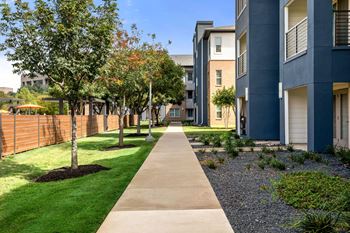 Walking paths