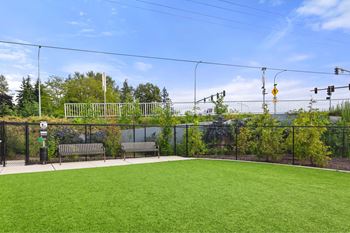 Dog park