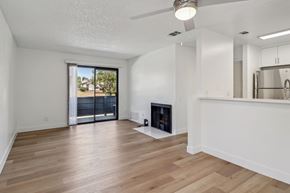 Spring Valley apartment for rent - A spacious living room with a fireplace and sliding glass doors.