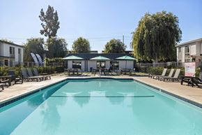 El Cajon apartment for rent - A large swimming pool surrounded by lounge chairs and trees.