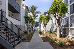 San Ysidro apartment for rent - A concrete pathway leads through a row of trees and plants in a residential area.