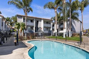 San Ysidro apartment for rent - A swimming pool in front of a building surrounded by palm trees.