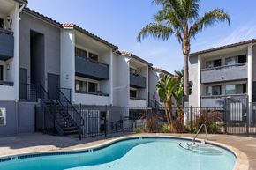 San Ysidro apartment for rent - A pool in front of a building with a palm tree.