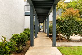 Imperial Beach apartment for rent - A long concrete walkway with green bushes on the sides and a white wall on the left.