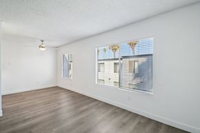 San Diego apartment for rent - A room with a window showing a view of palm trees outside.