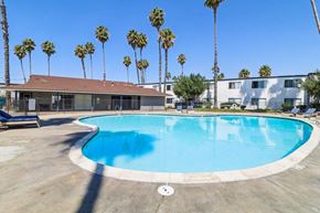San Diego apartment for rent - A round swimming pool surrounded by palm trees and a building in the background.
