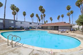 San Diego apartment for rent - A swimming pool surrounded by palm trees and a building in the background.