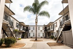 El Cajon apartment for rent - A palm tree stands in the center of a courtyard surrounded by apartment buildings.