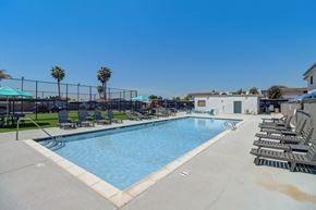 El Cajon apartment for rent - A large outdoor swimming pool surrounded by sun loungers and palm trees.