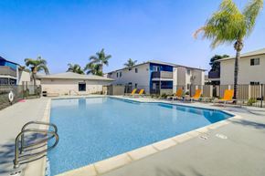 Lakeside apartment for rent - A swimming pool surrounded by palm trees and sun loungers.