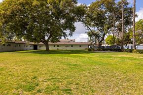 El Cajon apartment for rent - A large tree stands in the middle of a grassy field.