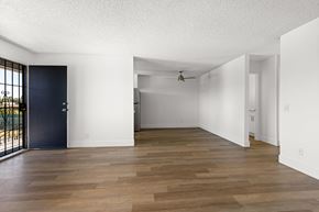 Ramona apartment for rent - A room with a dark blue door and wooden flooring.