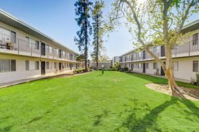 Ramona apartment for rent - A tree in a courtyard surrounded by buildings.