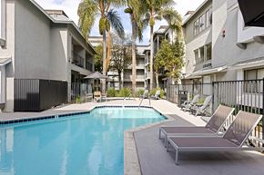 San Diego apartment for rent - A swimming pool surrounded by lounge chairs and palm trees.