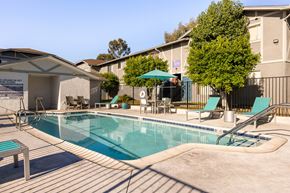 San Diego apartment for rent - A pool with a bench and a tree in the background.