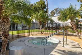 Spring Valley apartment for rent - A hot tub sits in the middle of a concrete patio surrounded by palm trees.