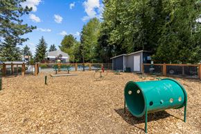 Renton apartment for rent - A playground with a green tube slide and a brown wooden fence.