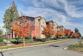 Olympia apartment for rent - A row of houses with autumn leaves on the trees.