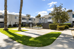 Ramona apartment for rent - A sunny day at a residential area with houses and palm trees.