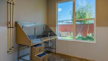Dog park and pet wash station
