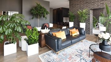 Ottawa apartment for rent - A living room with a black couch and a large rug.