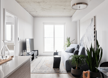 Gatineau apartment for rent - A modern living room with a grey couch and a large window.
