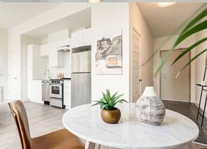 Ottawa apartment for rent - A modern kitchen with a white table and a plant on it.
