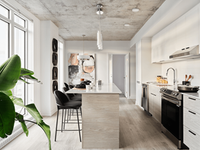 Gatineau apartment for rent - A modern kitchen with a dining area and a plant. at Le ColumbiaApartments , Gatineau, Quebec