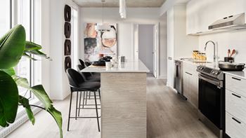 A modern kitchen with a black chair and a large plant.