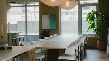 A long table with chairs and a plant in a pot.