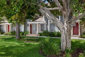Whittier apartment for rent - Trees in front of an apartment building with a bench under it.