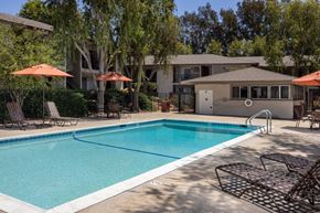 Spring Valley apartment for rent - A swimming pool surrounded by chairs and umbrellas.