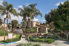 Alta Loma apartment for rent - Palm trees around the entrance to the apartments.