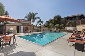 Alta Loma apartment for rent - A pool surrounded by chairs and umbrellas with a building in the background.