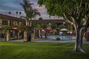 Anaheim apartment for rent - A pool area with a tree in the foreground and a building in the background.