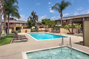 Pomona apartment for rent - A swimming pool in a residential area with palm trees.