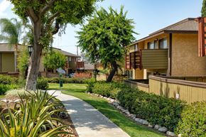 Pomona apartment for rent - A tree in a grassy area in front of a building.