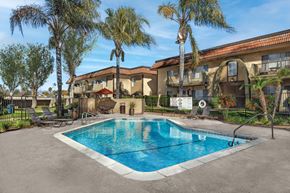 Riverside apartment for rent - A pool surrounded by palm trees and a building in the background.