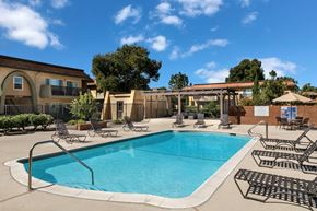 Oxnard apartment for rent - A large outdoor swimming pool surrounded by sun loungers and trees.