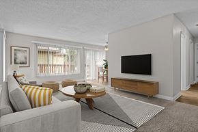 Riverside apartment for rent - A living room with a grey couch, a coffee table, a flat screen TV, and a rug.