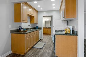 Lake Forest apartment for rent - A kitchen with wooden cabinets and granite countertops.