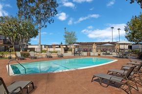 Lake Forest apartment for rent - A pool surrounded by chairs and trees.