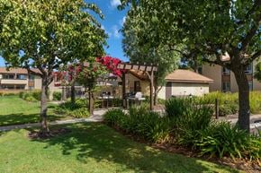 Camarillo apartment for rent - A tree with red flowers is in the middle of a grassy area.